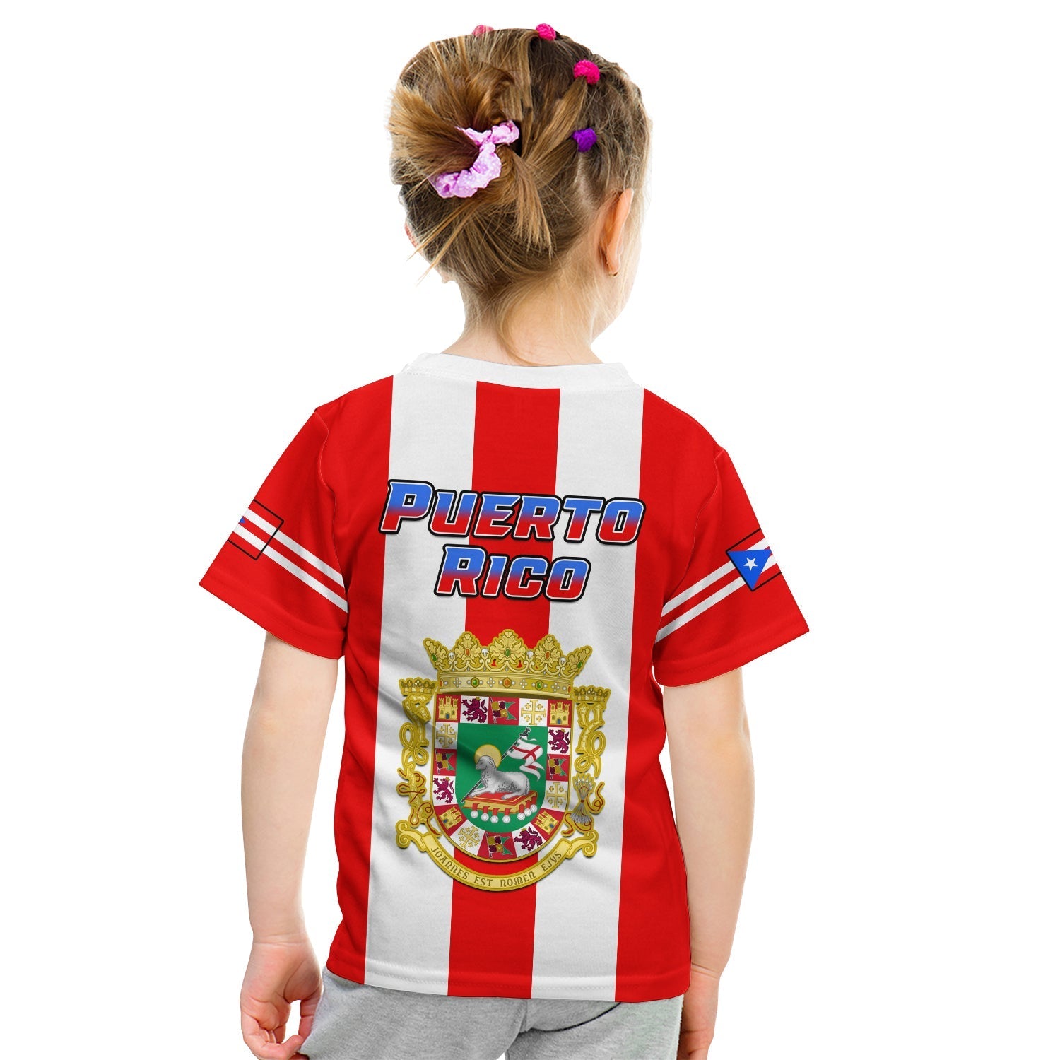 Puerto Rico T-Shirt Coat Of Arms Mix Flag Graphic Tee