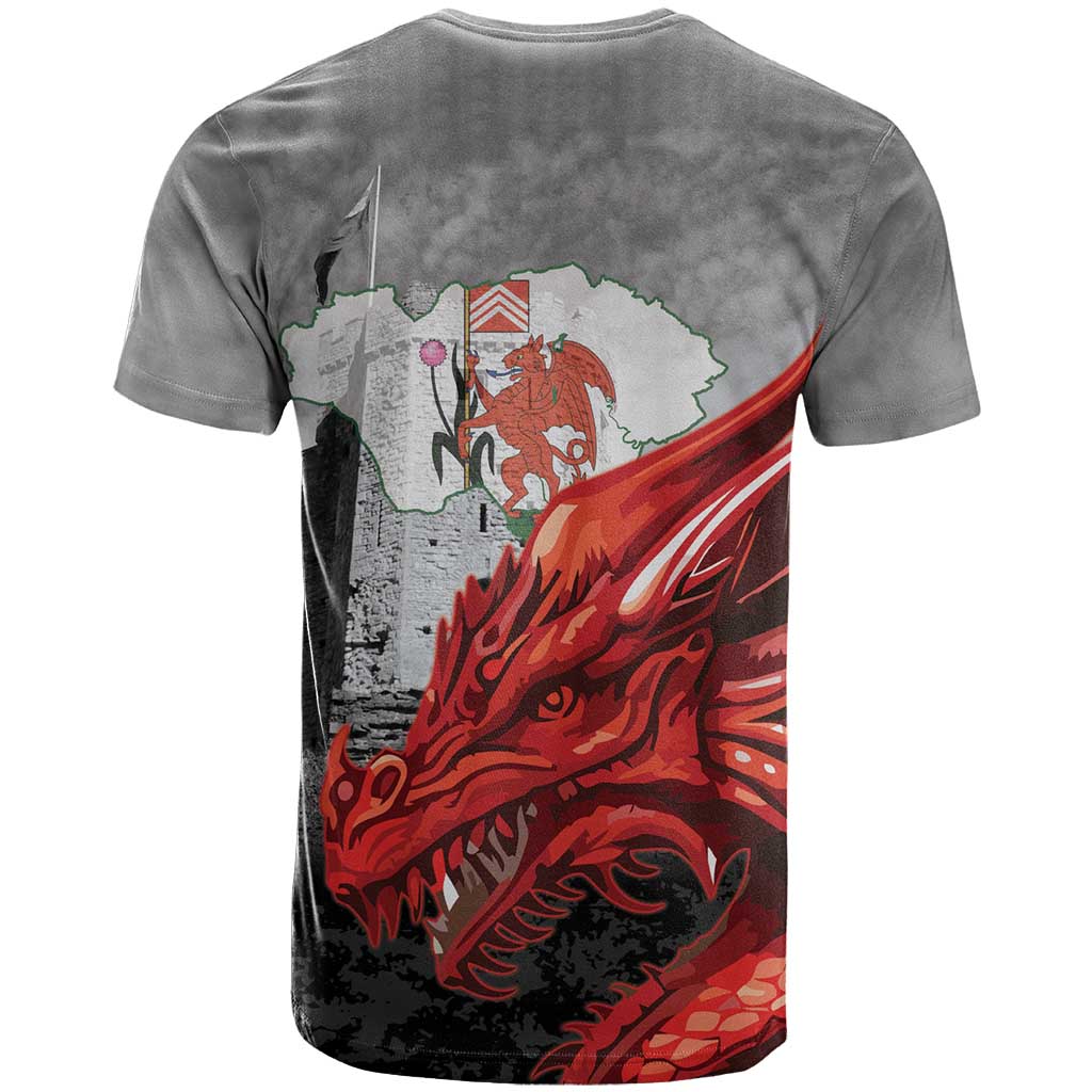 Wales Cardiff Capital T-Shirt Welsh Red Dragon Castell Caerdydd Graphic Tee