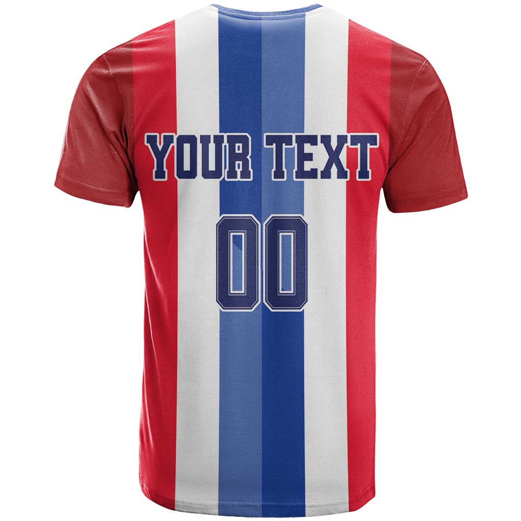 Custom Norway Football T-Shirt The Lions Champion 2024 Graphic Tee