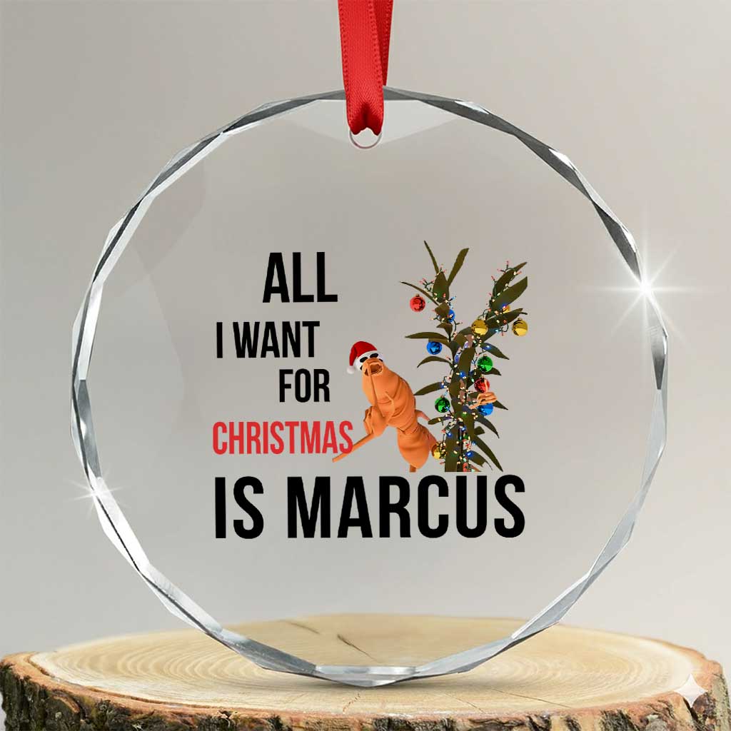 Marcus the Worm Robert Meme Ornament - Crystal Glass, All I Want for Christmas Is Marcus Meme Gift - Transparent Glass - 3'' Circle